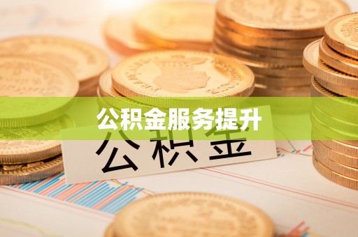 临河公积金服务提升