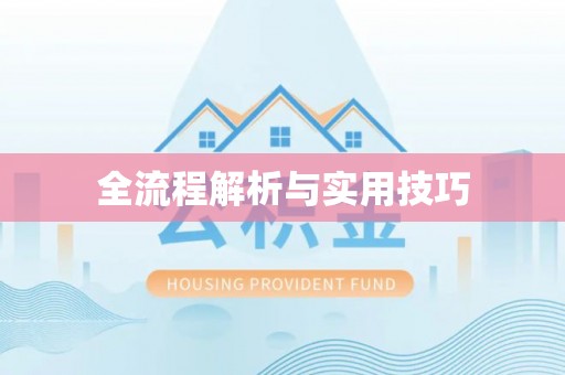 临河全流程解析与实用技巧