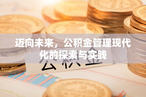 临河迈向未来，公积金管理现代化的探索与实践