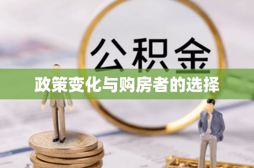 临河政策变化与购房者的选择